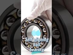 2310M স্ব-সারিবদ্ধ বল বিয়ারিং স্টিল প্ল্যান্ট কার্ব টরয়েডাল বল বিয়ারিং 2311K/C3 2310/C3 2310M/C3