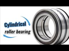 SL045010-D-PP সম্পূর্ণ পরিপূরক ডাবল সারি SL045010PP সিলিন্ড্রিকাল রোলার বিয়ারিং