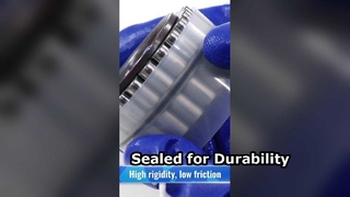 CPM2518 বাইরের রিং ছাড়া ডাবল সারি নলাকার রোলার বিয়ারিং | স্বয়ংচালিত এবং শিল্প ভারবহন