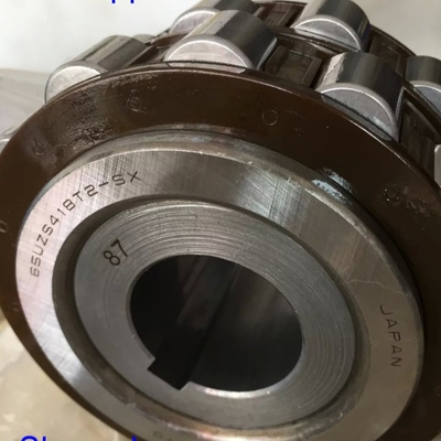 65UZS418T2X-SX-87 বুশিং সহ সিলিন্ড্রিক রোলার লেয়ার 65UZS418 নাইলন কেজ এক্সসেন্ট্রিক লেয়ার