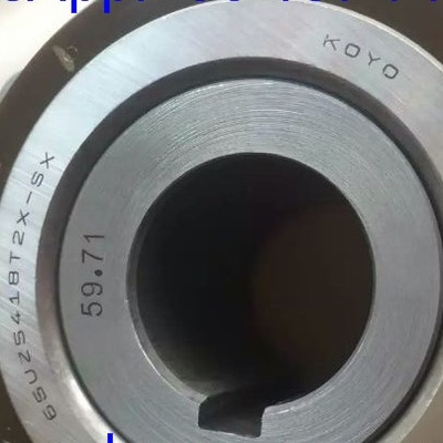 65UZS418T2X-SX-87 বুশিং সহ সিলিন্ড্রিক রোলার লেয়ার 65UZS418 নাইলন কেজ এক্সসেন্ট্রিক লেয়ার
