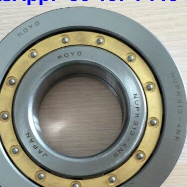 NUP313-4N সিলিন্ড্রিকাল রোলার লেয়ারিং NUPK313-4NRS02C3 স্ন্যাপ রিং সহ রোলার লেয়ারিং