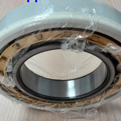 NU320ECM / C3VL0241 ইলেকট্রিক ইনসকোট সিলিন্ডার রোলার লেয়ার 100x215x47mm