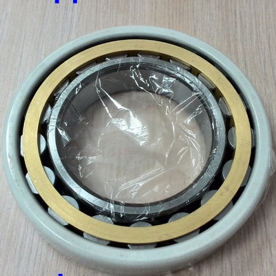 NU320ECM / C3VL0241 ইলেকট্রিক ইনসকোট সিলিন্ডার রোলার লেয়ার 100x215x47mm
