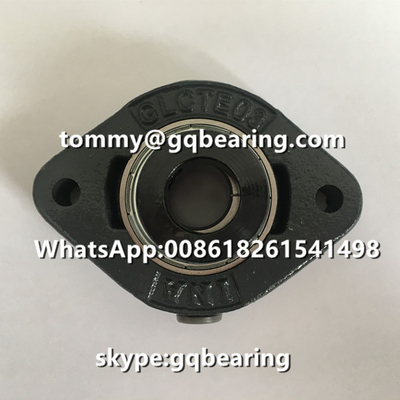 INA FLCTE12 FLCTE12-XL ঢালাই লোহা উপাদান দুই বোল্ট ফ্ল্যাঞ্জ বালিশ ব্লক বল লেয়ার