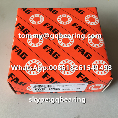 ক্রোম স্টিল উপাদান FAG F-234977.06 F-234977.06.SKL-H79 বিএমডব্লিউ ডিফারেনশিয়াল অটোমোটিভ লেয়ারিং