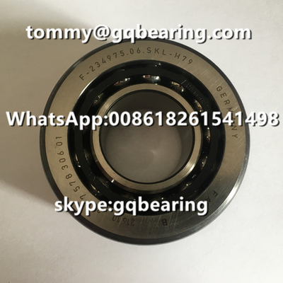 ক্রোম স্টিল উপাদান FAG F-234975.06 F-23497506.SKL-H79 বিএমডব্লিউ ডিফারেনশিয়াল অটোমোটিভ লেয়ারিং