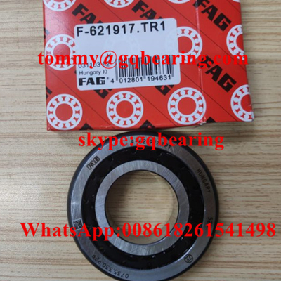 অটোমোটিভ গিয়ারবক্সের জন্য নাইলন কেজ F-621917.TR1 কনিযুক্ত রোলার লেয়ার